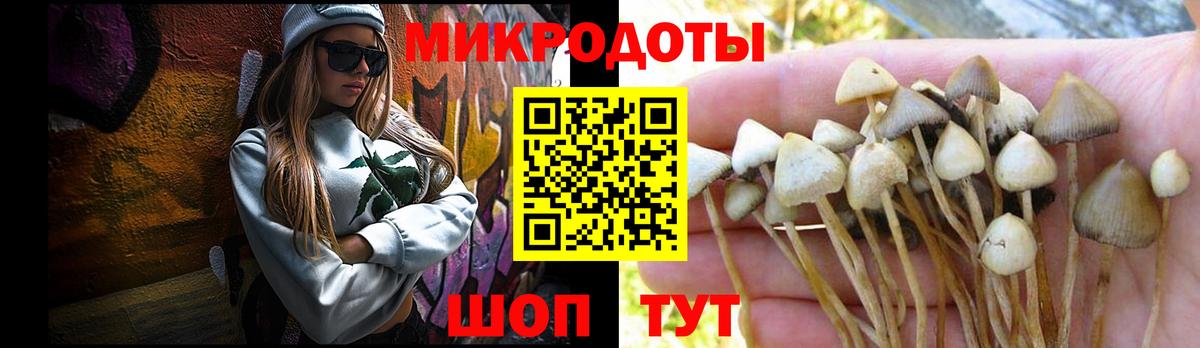Кушва  Псилоцибиновые грибы ЛСД  Вход с VPN 
